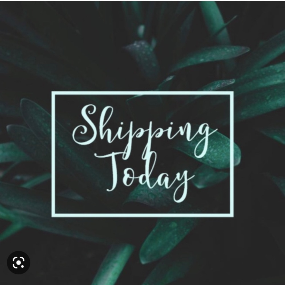 shipping!l today!!!! Send  offers! I’m saying yes all day.